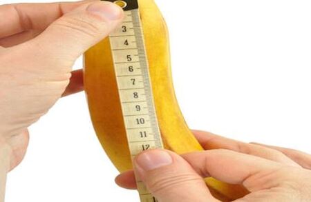 Normal penile dimensions