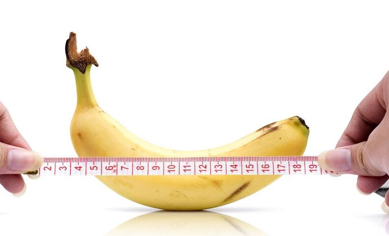 The effect of abstinence on penis length.